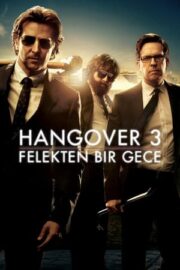 Hangover 3: Felekten Bir Gece 3